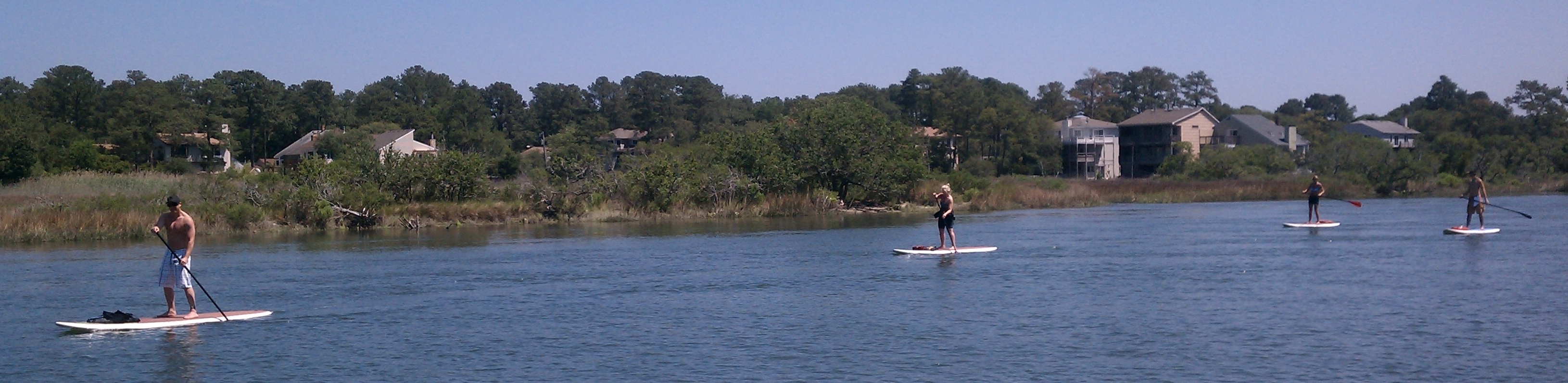 paddleboardermarsh